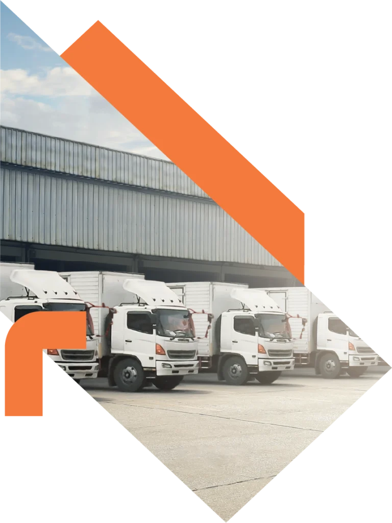 eco-nex-global-distribution